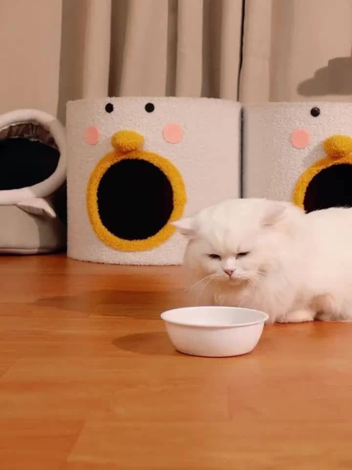 product-9bc8316cd7553a88937176da138a53706327d3c9.goods_.000001