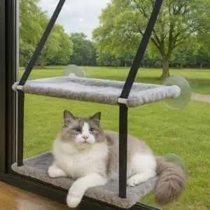 Ultimate 2-Tier Window Bed for Indoor Cats