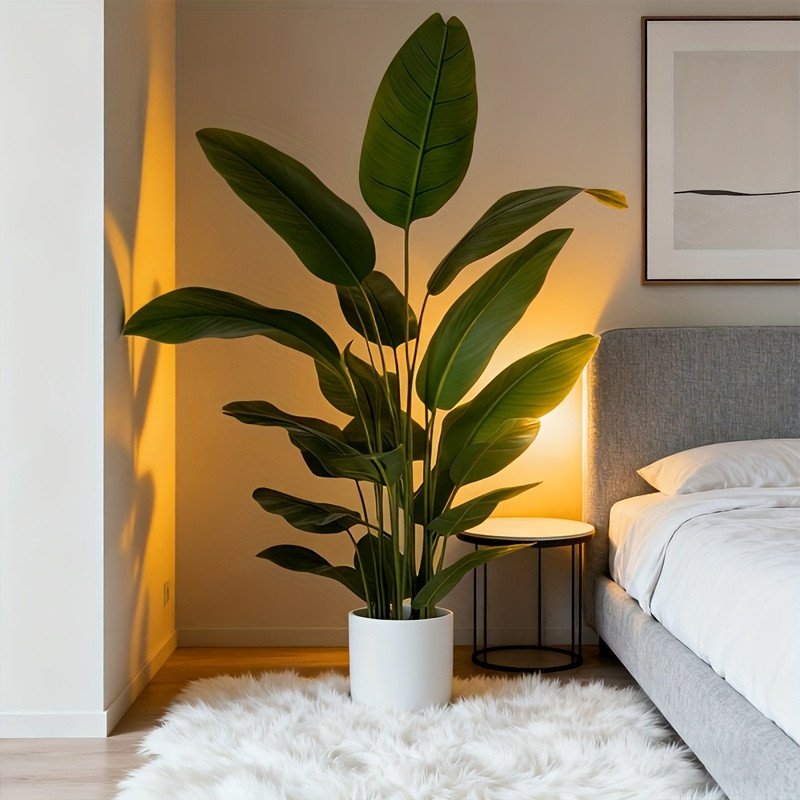 product-fancy-b207269e-26df-4927-b674-200cf014b4aa