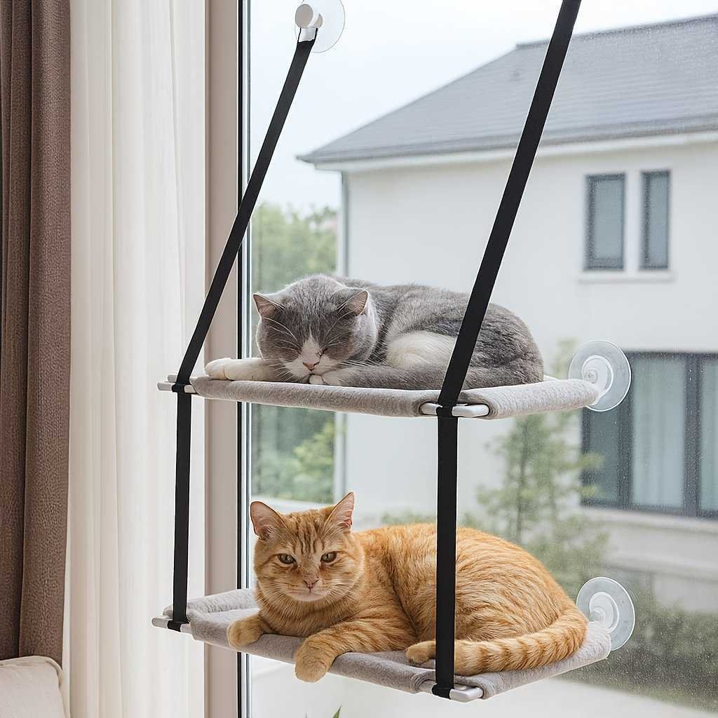 product-fancy-b8bb1732-3630-4f2e-b95f-7cfc401b3676