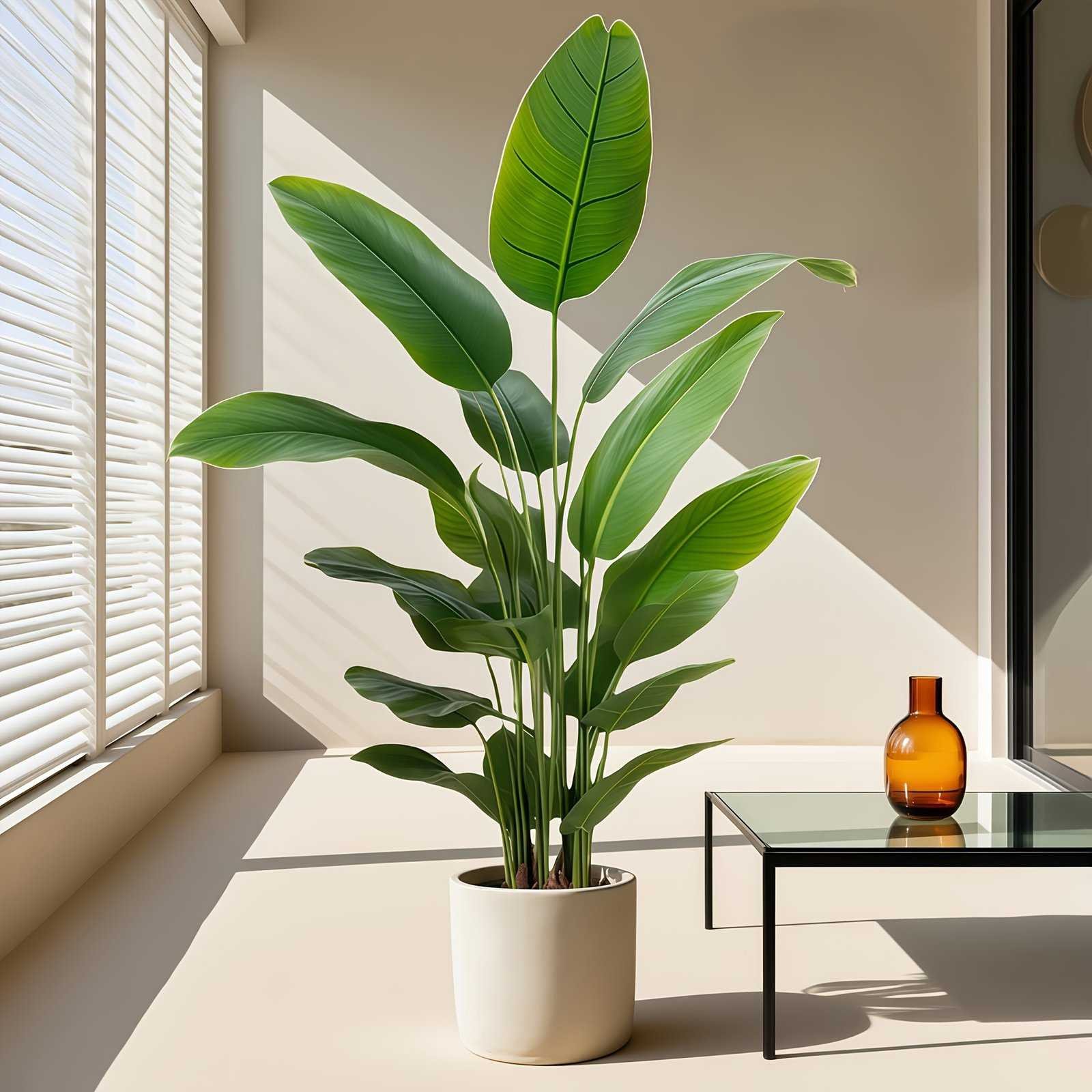 product-fancy-dd0ab629-e4a2-4a64-a084-93967864aea1